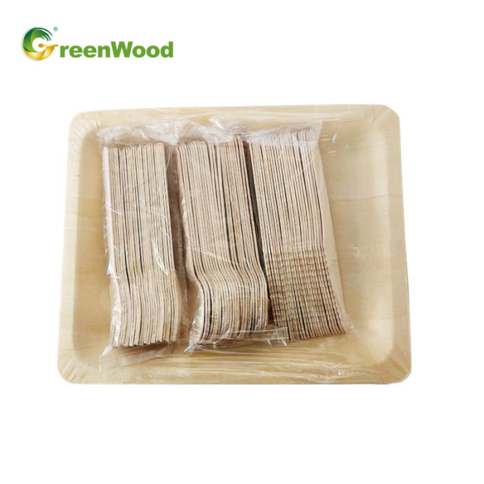 Disposable Wooden Cutlery and Plates Set 100% Natural Compostable Biodegradable Wooden Tableware