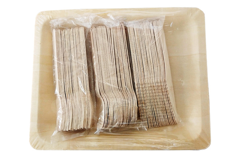 Disposable Wooden Cutlery and Plates Set 100% Natural Compostable Biodegradable Wooden Tableware