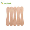 Bulk Wholesale Eco-Friendly Disposable Wooden Ice Cream Spoons | OEM/ODM Customization for Global Brands & Importers | Compostable Biodegradable Tableware Solutions